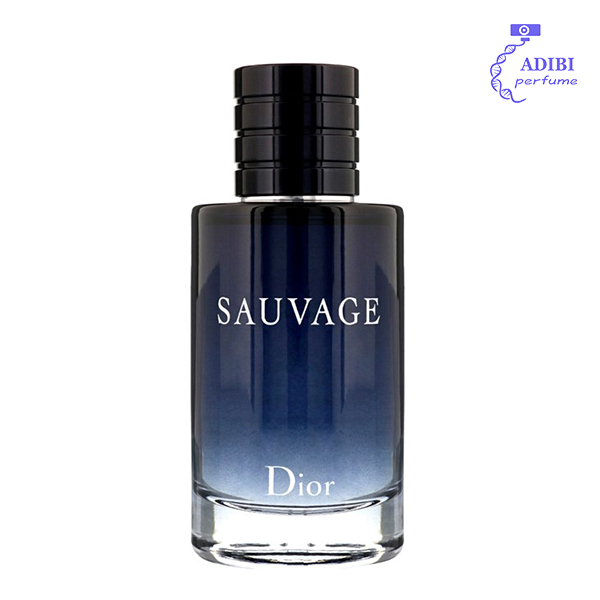 عطر ادکلن دیور ساواج_ساواژ | Dior Sauvage